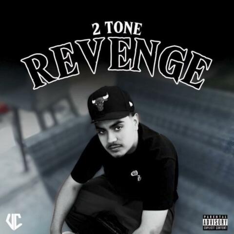 Revenge (feat. TopRank & Trapstar JJ)