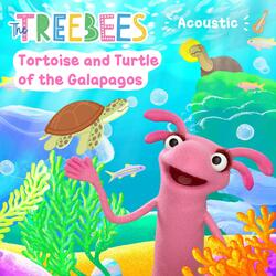 Tortoise and Turtles of the Galapagos (Acoustic Version)
