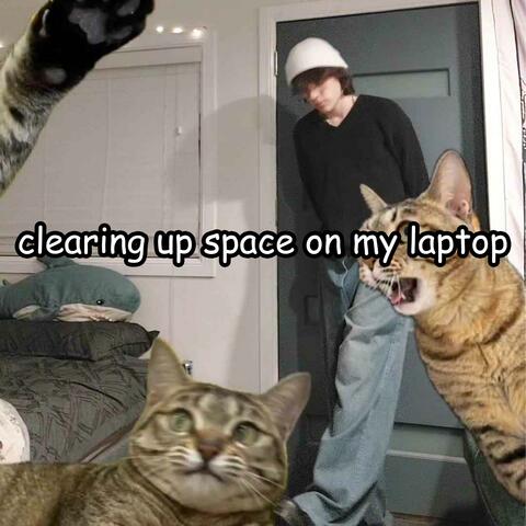 clearing up space on my laptop
