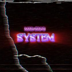 System