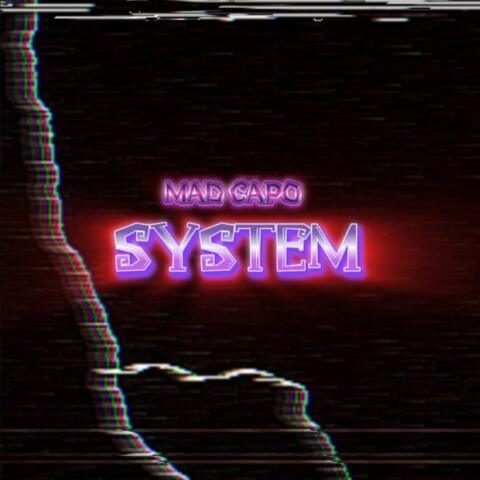 System