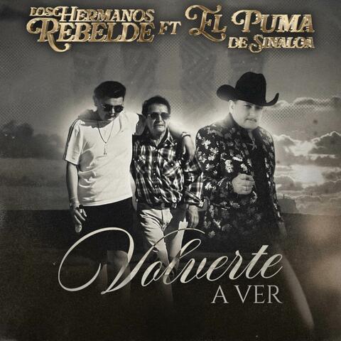 Volverte a ver