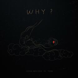 Why (feat. Teda)