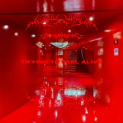 trying to feel alive