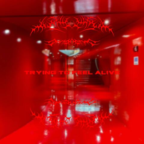 trying to feel alive
