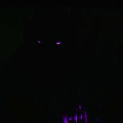 ADRENALINE (Slowed)