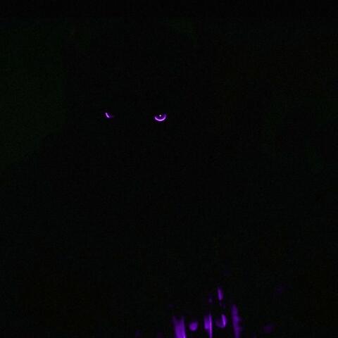 ADRENALINE (Slowed)