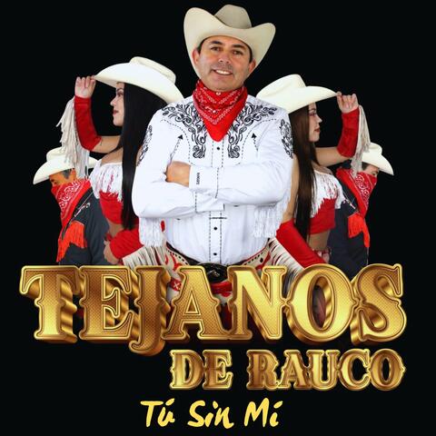 Tú Sin Mí