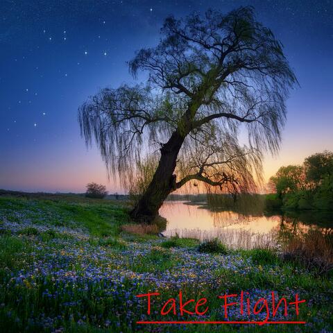 Take Flight