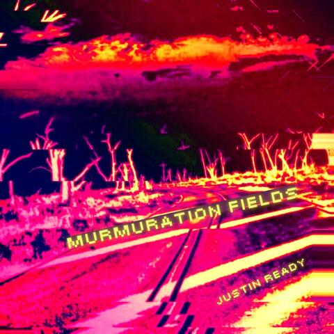 Murmuration Fields