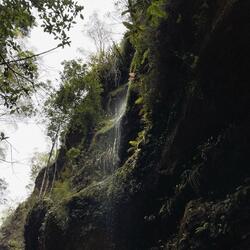 Canyon Stream (Blue Mountains, NSW)