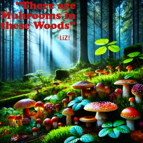 There Are Mushrooms in These Woods