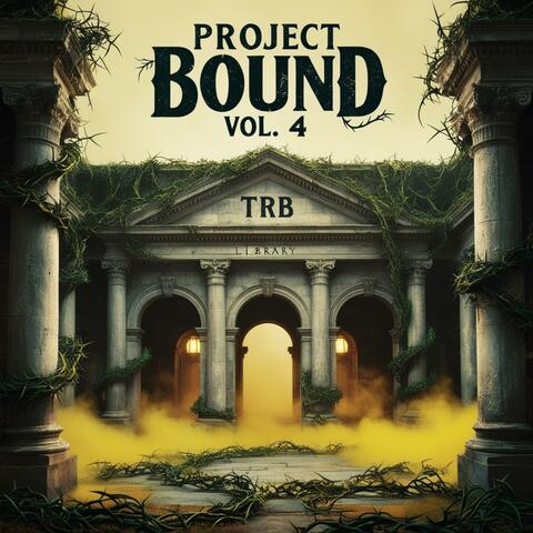 Project Bound, Vol. 4