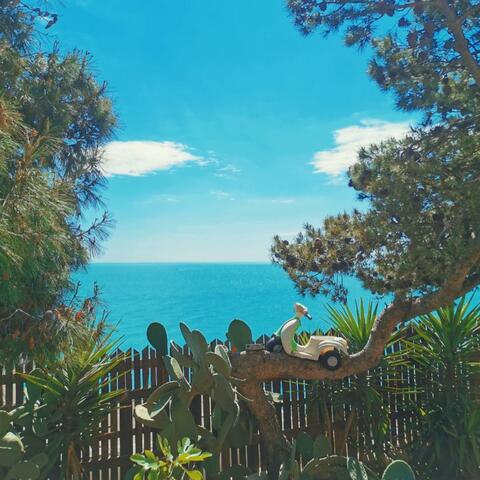 One Day In Italy