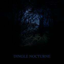 Dingle Nocturne