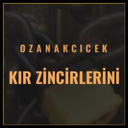 Kır Zincirlerini