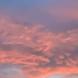 Unfortunate (feat.334kutta)