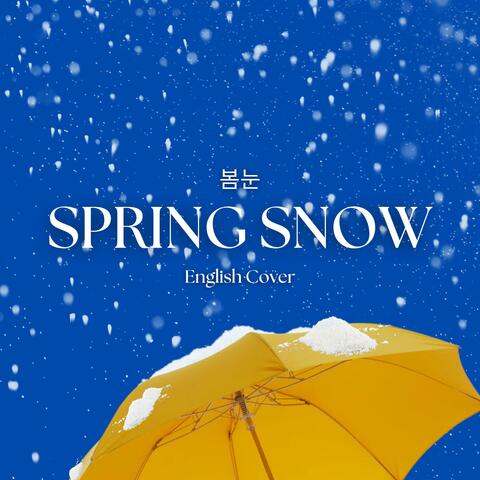 Spring Snow (English Cover)