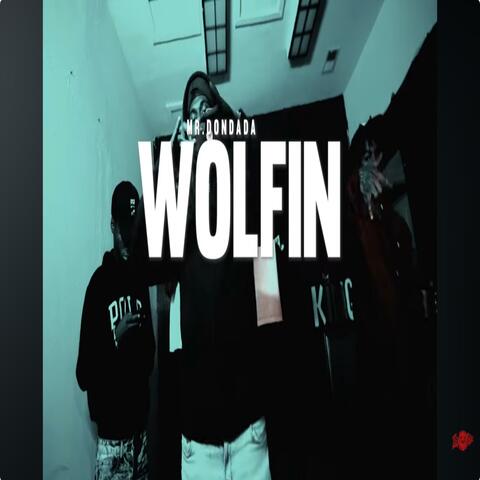 Wolfin (feat. Mr.Dondada)