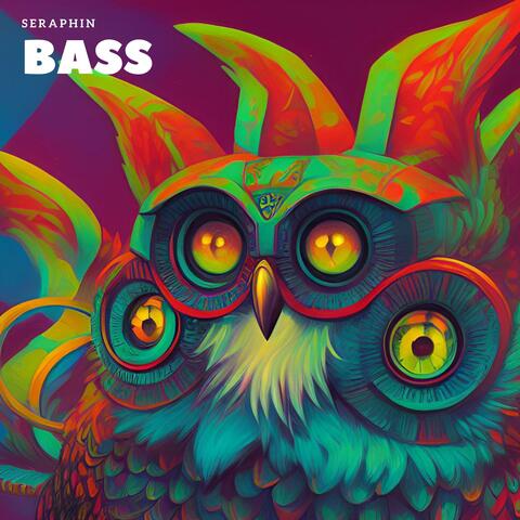 Bass