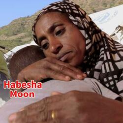 Habesha Sad music Ethiopian