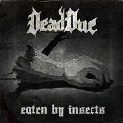 Eaten by Insects