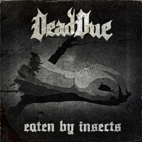 Eaten by Insects