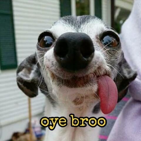 Oye bro ¿que pasa bro?