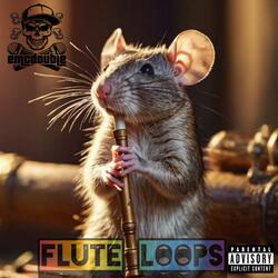 Flute Loops