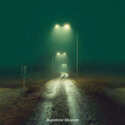Walking Through the Fog