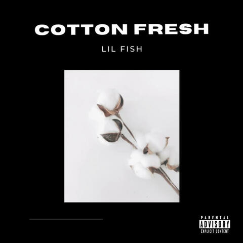 COTTON FRESH