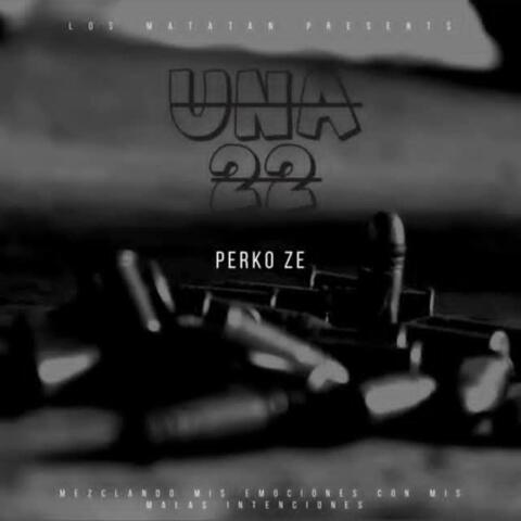 UNA 22