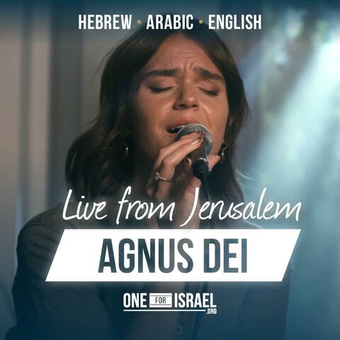 Agnus Dei | Hebrew, Arabic & English (feat. Nizar Francis, Shilo Ben Hod, Rebekah Davis & SOLU Israel)