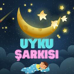Uyku Şarkısı