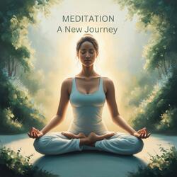 Meditation of Falling Leaves