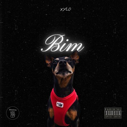 Bim