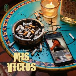 Mis Vicios