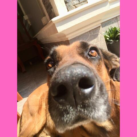 Super Mario Bros Ahh Song