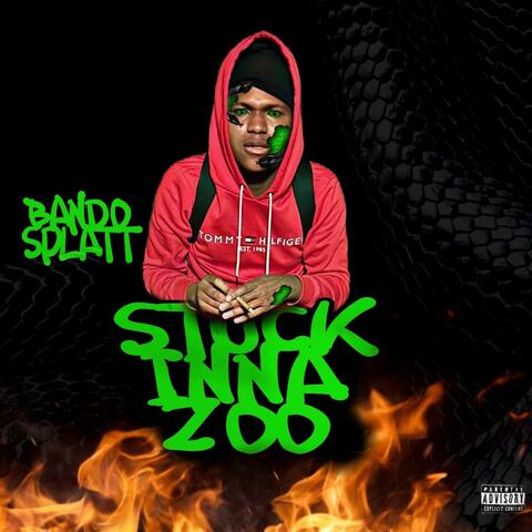 Stuck Inna Zoo