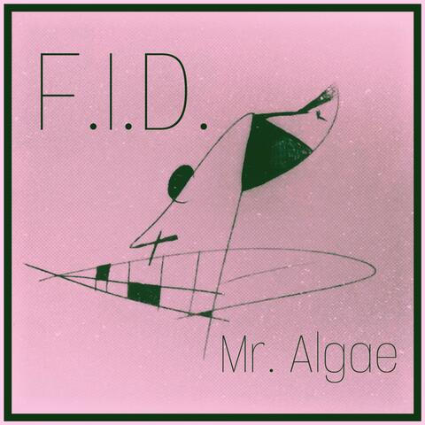 F.I.D.