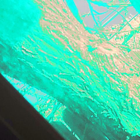 grasslands.....error..treefort