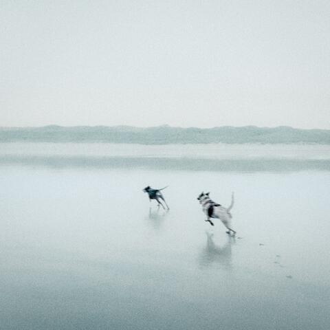A Place We've Never Been