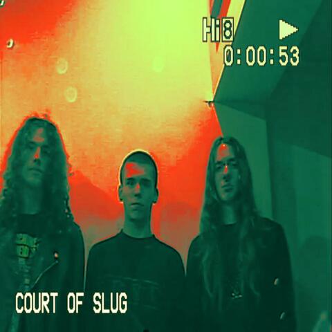 COURT OF SLUG