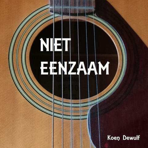 NIET EENZAAM