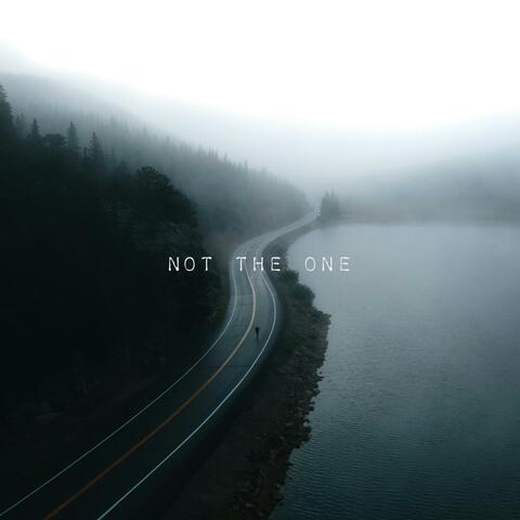 Not the one