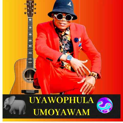 UYAWOPHULA UMOYAWAM 2.0 (Radio Edit)