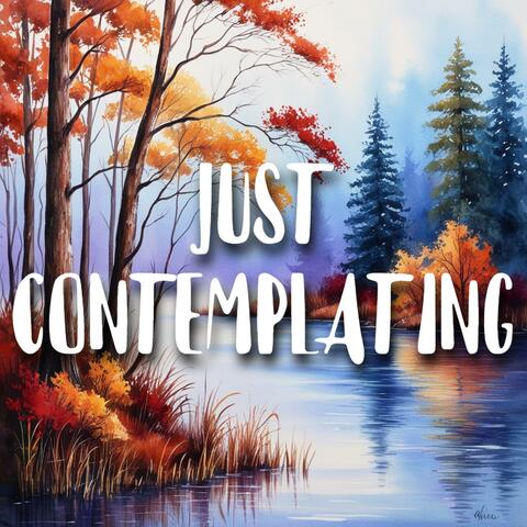Just Contemplating