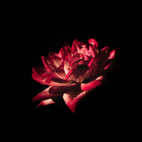 RAW Demo (UnMastered) [Unfinished]