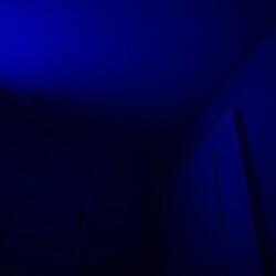 stay for the night