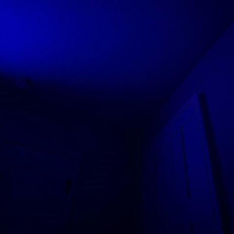 stay for the night